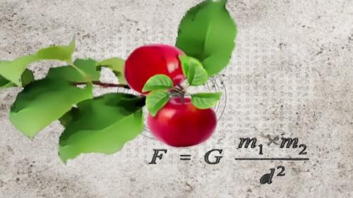 motion graphy cycle is everything