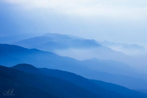 Nature photography
